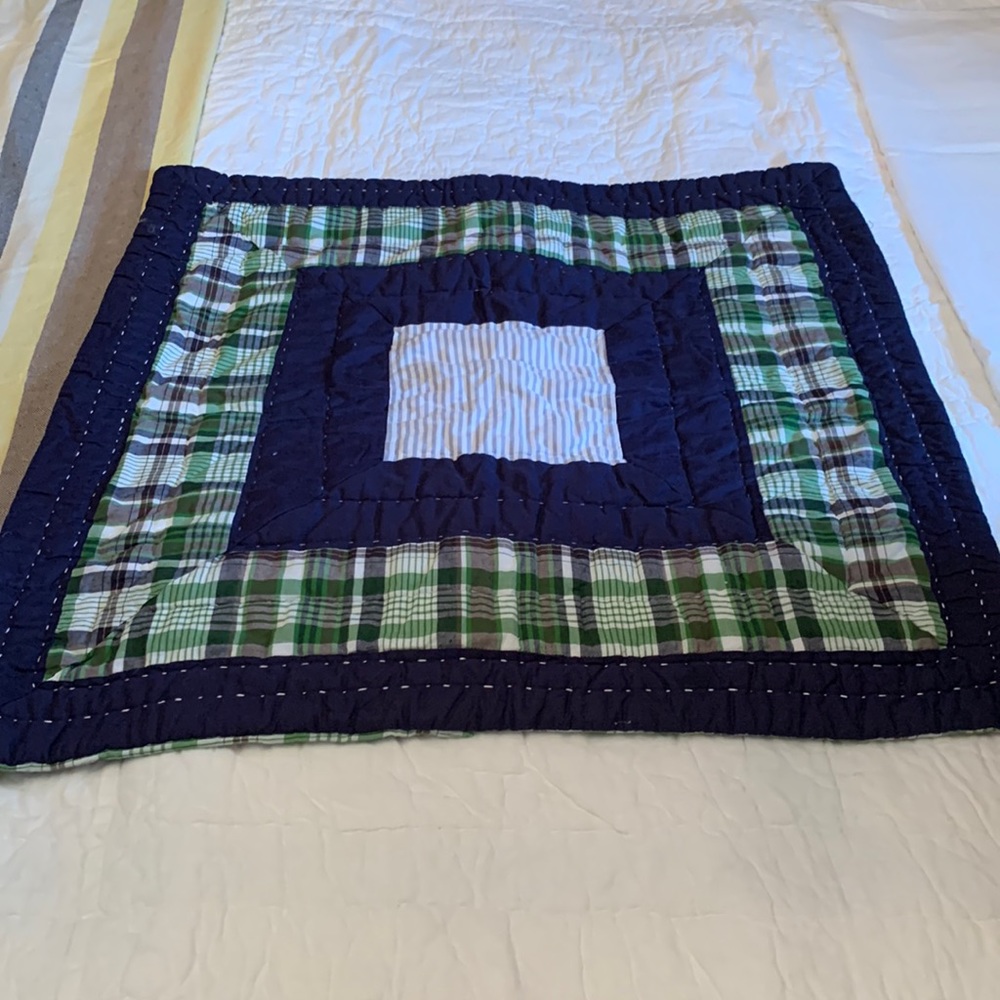 Pottery Barn Euro sham
